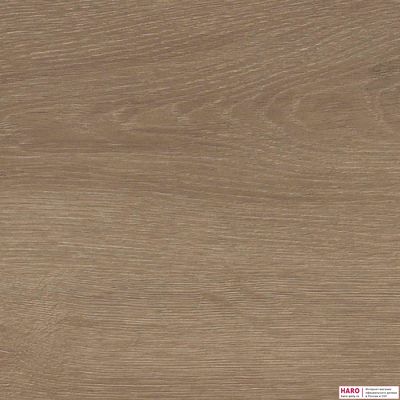 Ламинат Haro Tritty 100 Campus Дуб Венето Кремовый 541543 32 класс толщина 8 мм с фаской 1.98 м2