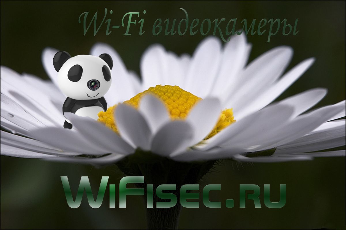 IP видеоняня WiFi-LAN видеокамера с DVR (мишка ПАНДА), HD Артикул: DE-WPANDA