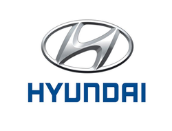 Диагностическая карта техосмотра для Хендай (Hyundai)