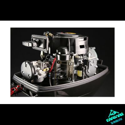 Лодочный мотор Suzuki DT30S