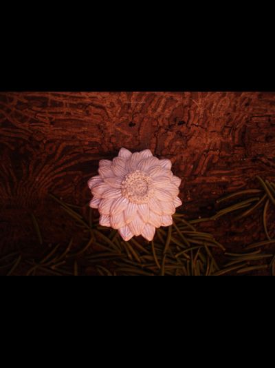 Перламутровое кольцо "Рассветный Цветок"