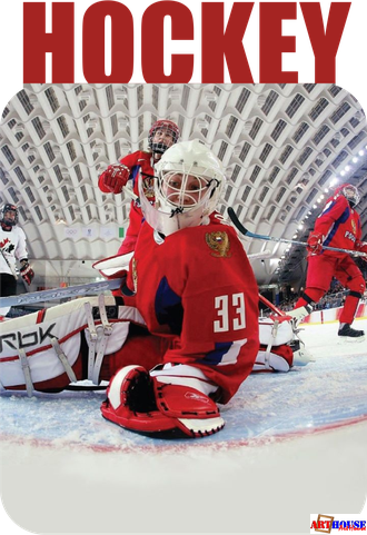 Магнит металлический «Hockey»