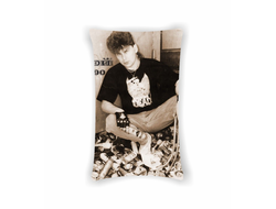 Подушка Сектор Газа, Юрий Хой №54