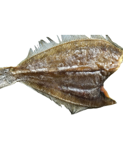 Камбала вяленая Ерш (Мурманск)