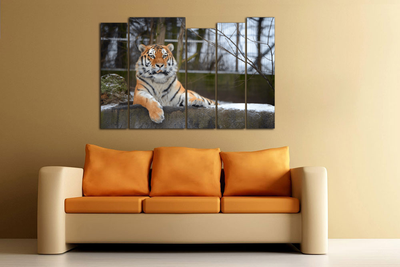 Модульная картина "Спокойный тигр"