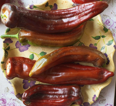 Перец сладкий Палермо шоколадный (Palermo Сhocolony, Италия)