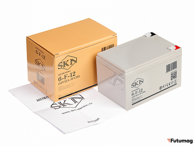 Аккумулятор для ИБП SKN 6-F-12 (12V12A/H C20)