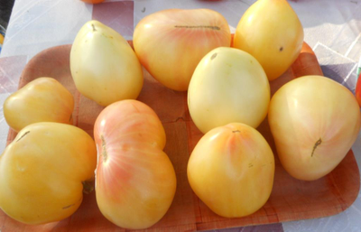 Томат Белая вишня