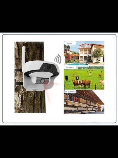 FreeCam, Всепогодная, автономная беспроводная WiFi видеокамера на аккумуляторе с DVR на солнечной батарее, HD (Clever Dog)