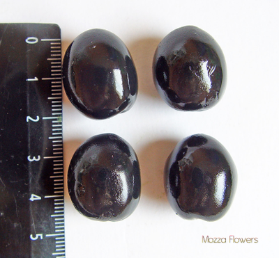 "Оливки" Силиконовый молд