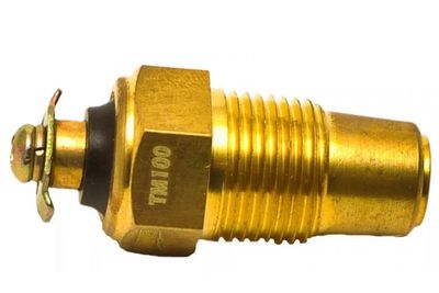 Датчик температуры воды ТМ100В