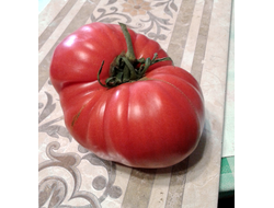 Семена томата Винзал