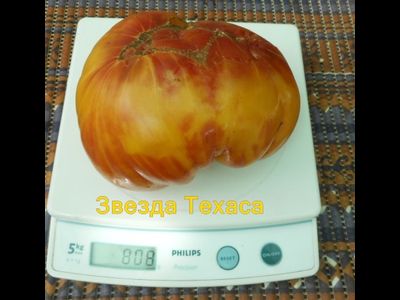 Томат Звезда Техаса (Texas Star)