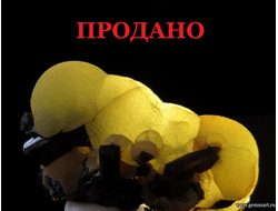 Архив продаж