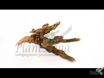 Натуральная коряга "Коралловая" XS 15-40 см