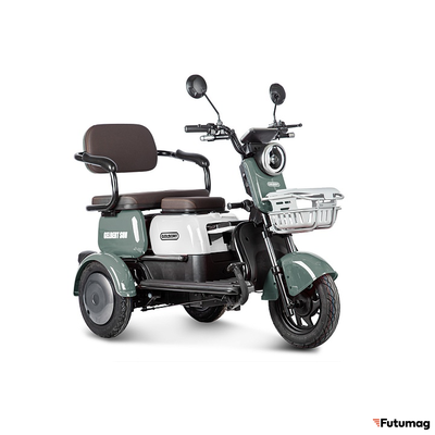 Электротрицикл Rutrike Gelbert Sun 48V/60V 650Вт зелено-белый