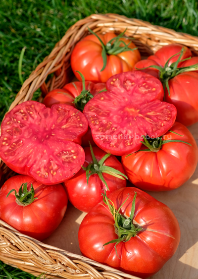 Томат Arnaldo (Арналдо), 10 шт