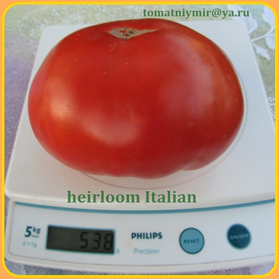 Томат Итальянские фамильные (Heirloom Italian)