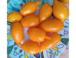 Томат Сокровище (Akmore Treasure)