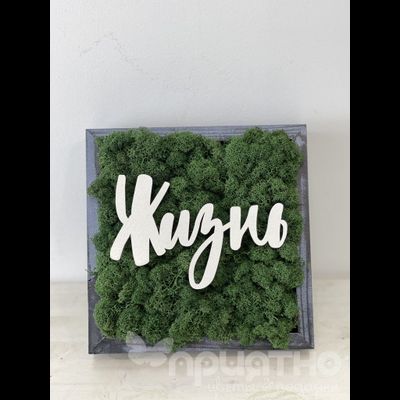 ЖИВАЯ ЭКО-КАРТИНА 1058