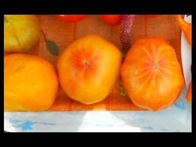 Томат Ананас (Pineapple)