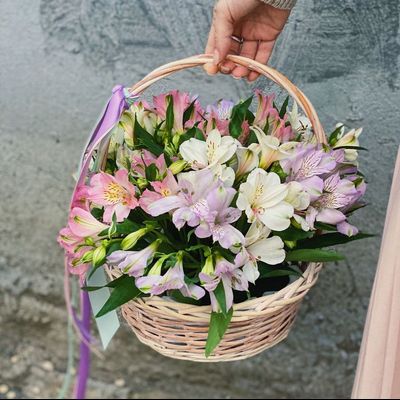Корзина из альстромерии