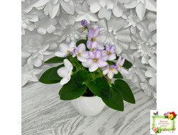 Белый Клоун (Е. и Я. Немчиновы) 2025 г. трейлер (укоренённый пасынок)