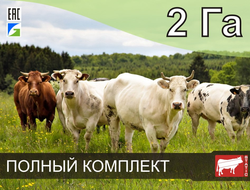 Электропастух СТАТИК-3М для КРС на 2 Га - Удержит даже самого наглого быка!