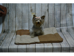 МАТРАС ДОМАШНИЙ 75Х60 см