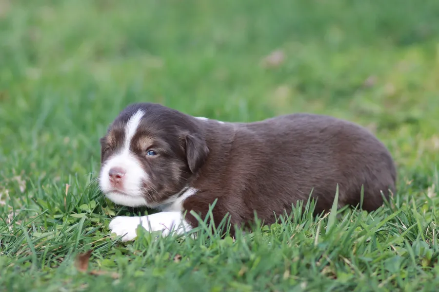 Юта, 3 недели