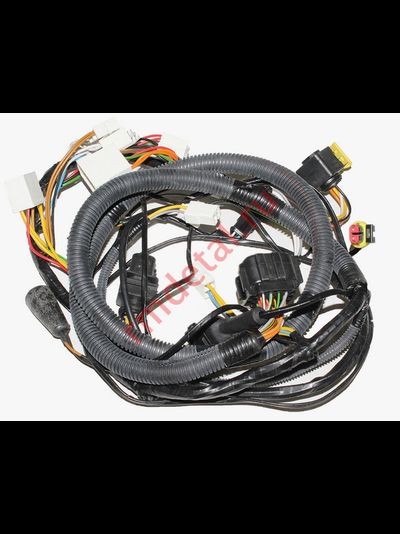 Жгут основной C41101200