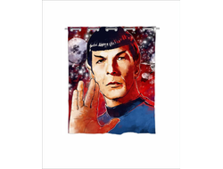 Штора в ванную Star Trek, Стартрек №9