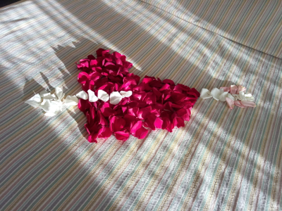 Оформление номера лепестками роз № 1492