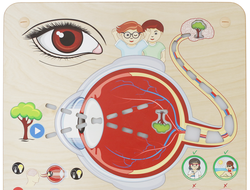 Панель "Зрение"