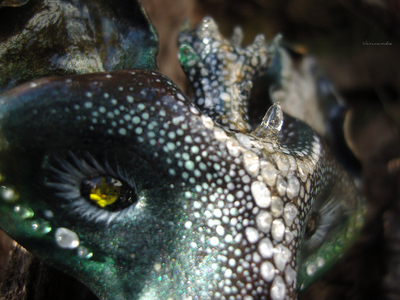 "КотоВолк (Котовий ЛосеВолк) из рода котов-единорогов" - брошь в лесном стиле