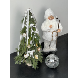 Серебряная ночь