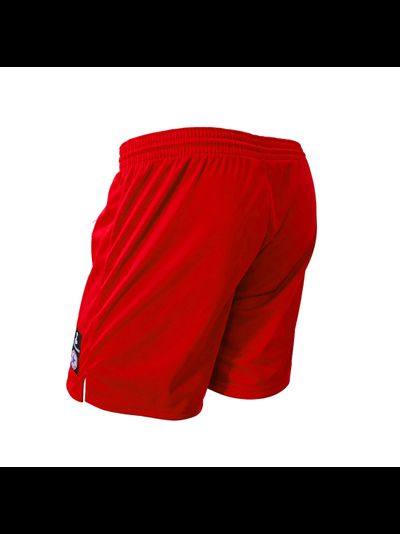 Шорты синтетические для самбо ВФС Bravegard Победа красные