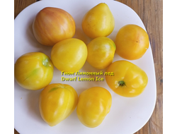 Томат гном Лимонный лед (Dwarf Lemon Ice, дварф Лемон айс) США