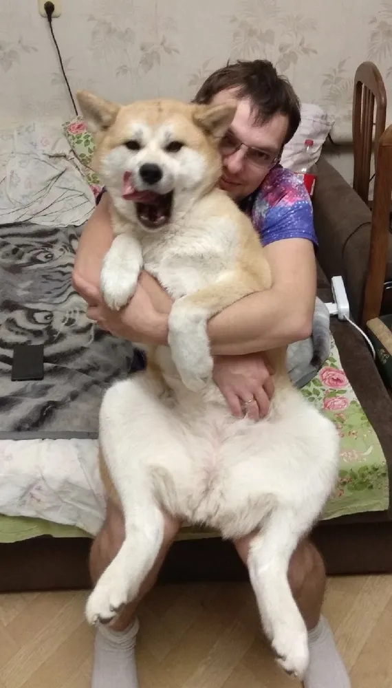 Хозяйка Яна: "Хотим выразить огромную благодарность за Вашу работу!) Покупаем мяско для собак уже не первый год, они очень довольны. Всегда все хорошо упаковано, все свежее и по доступным ценам. Спасибо Вам большое!)"