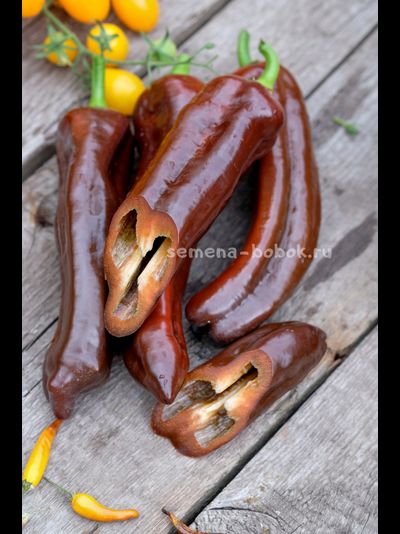 Перец сладкий Палермо Шоколадный, 10 шт
