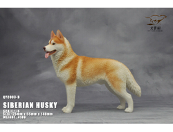 Сибирская хаски (рыжая) - Коллекционная ФИГУРКА 1/6 scale Husky (QYC003B) - QuanYingCun