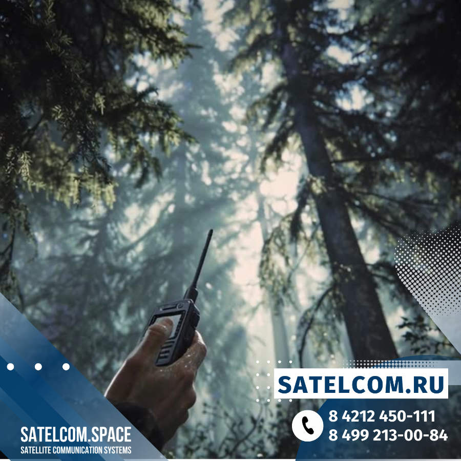 Почему деревья крадут ваш сотовый сигнал?