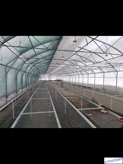 Система тумана низкого давления (480м2) 9,6 х 50м расход 5,2м3/ч (без ёмкости)