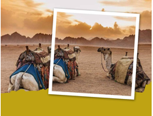 SUPER SAFARI AB HURGHADA