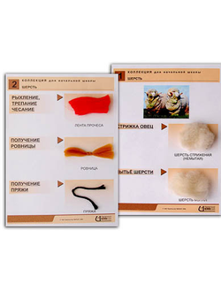 Коллекция "Шерсть" (нач. шк.)