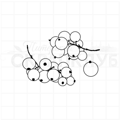 ФП штамп "Красная смородинка"