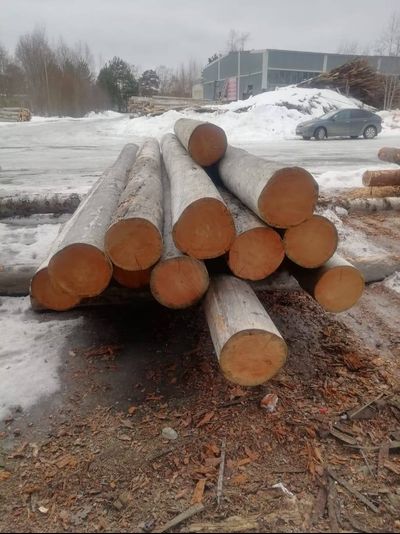 Бревно Кело диаметр 32 см, длина 6 м