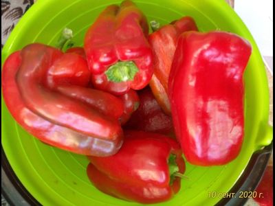 Перец сладкий Большая Берта (Big Bertha)