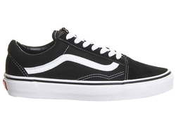 Vans and adidas hotsell