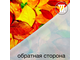 Бифлекс матовый принт Осенние листья
